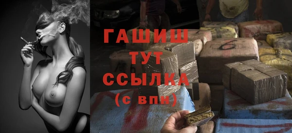 сатива Няндома