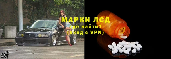 сатива Няндома