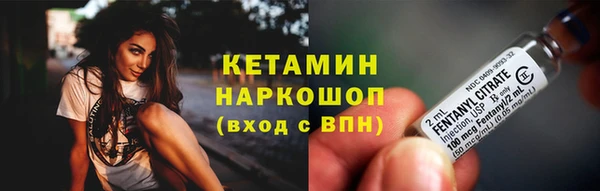 сатива Няндома