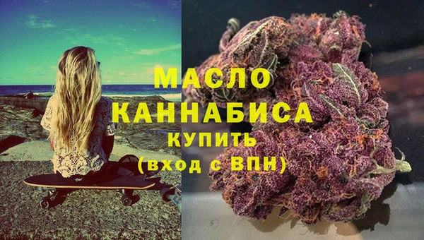 сатива Няндома